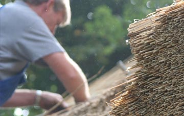 professional Dreen thatchers