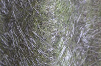 Dreen fibreglass roof work