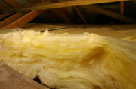 Dreen pitch roof insulation